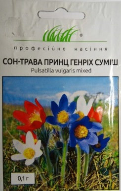 Насіння Сон трави Принц Генріх суміш - 1