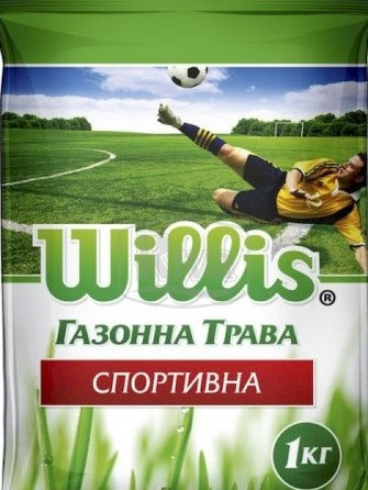 Газонна трава Вілліс (Willis) Спортивна - 1