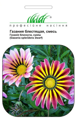 Насіння суміши блискучої Газанії низькорослої - 1