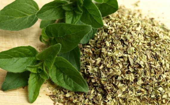 Орегано (Майоран) - 7