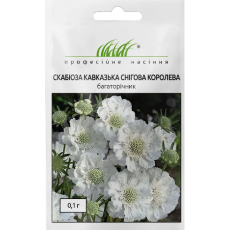 Насіння скабіози Снігова королева - 1