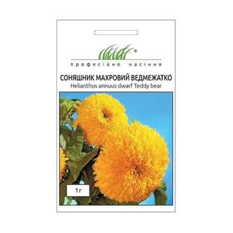 Насіння Соняшнику махрового Ведмежатко - 1